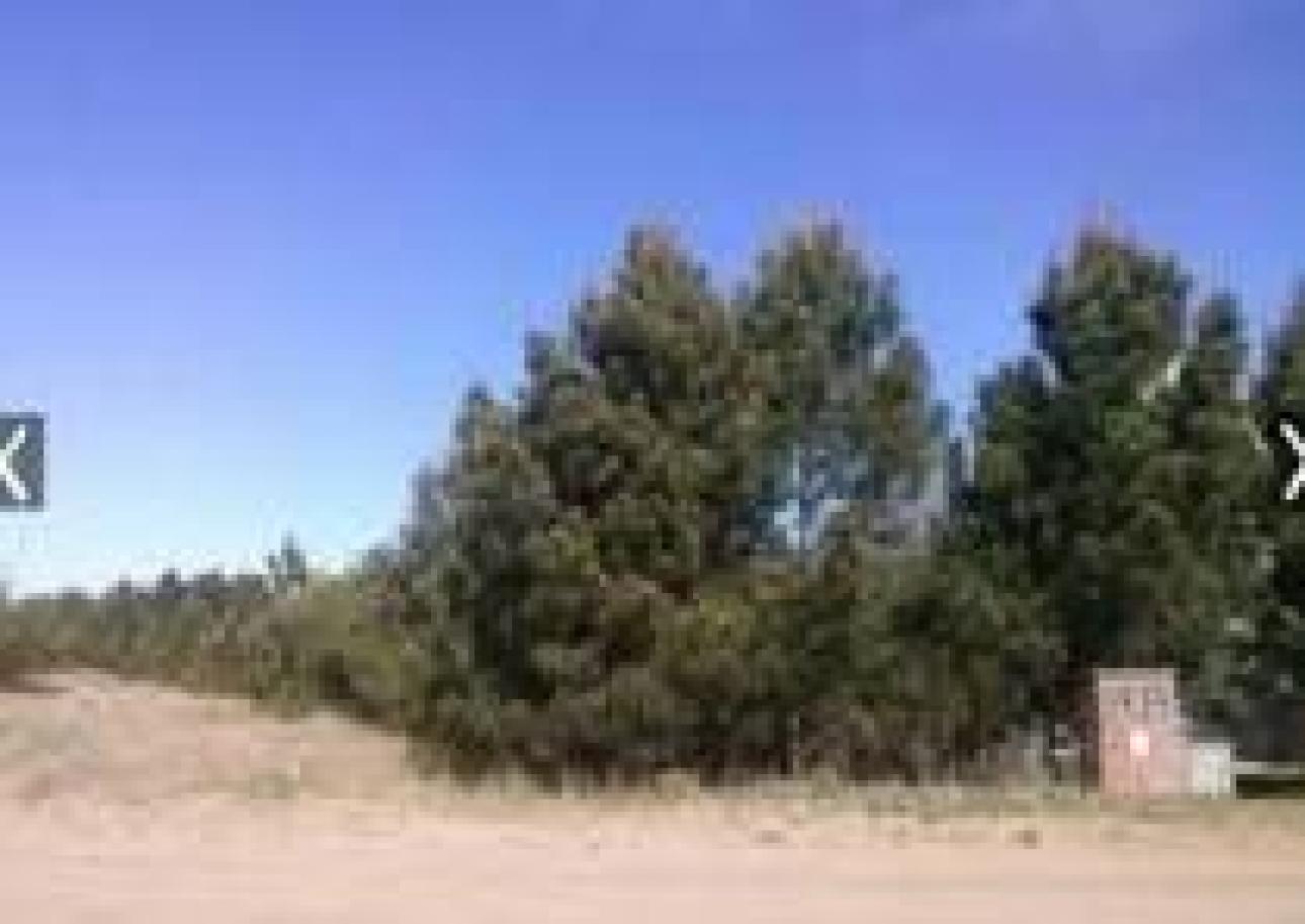 CLAROMECO, LOTE TERRENO, B/UBICACION, AMPLIO, C/ESCRITURA