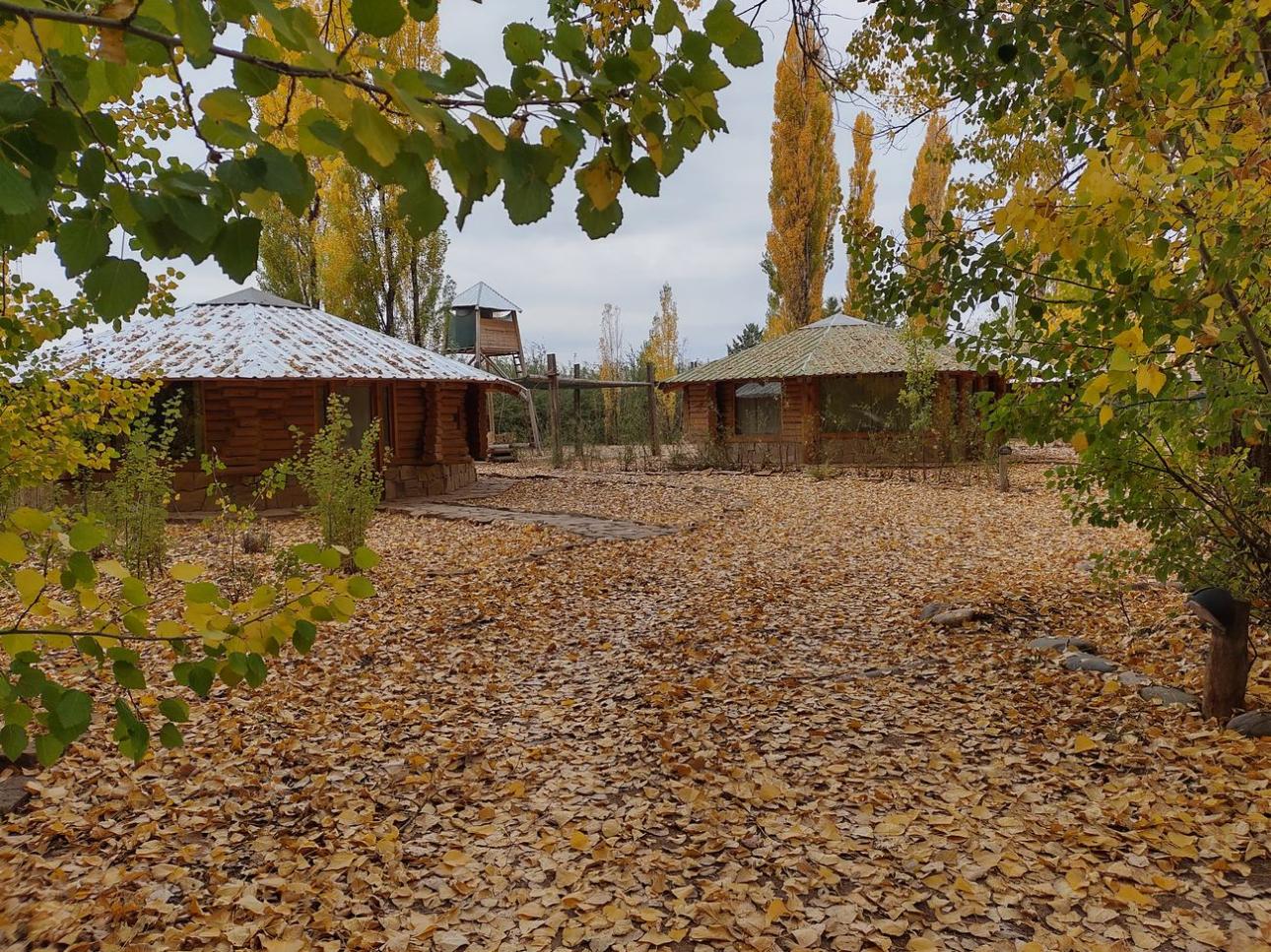 HERMOSO COMPLEJO DE 5 CABAÑAS EN MALARGUE MENDOZA