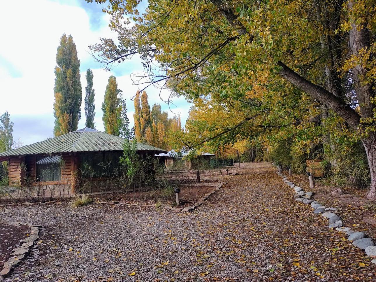 HERMOSO COMPLEJO DE 5 CABAÑAS EN MALARGUE MENDOZA