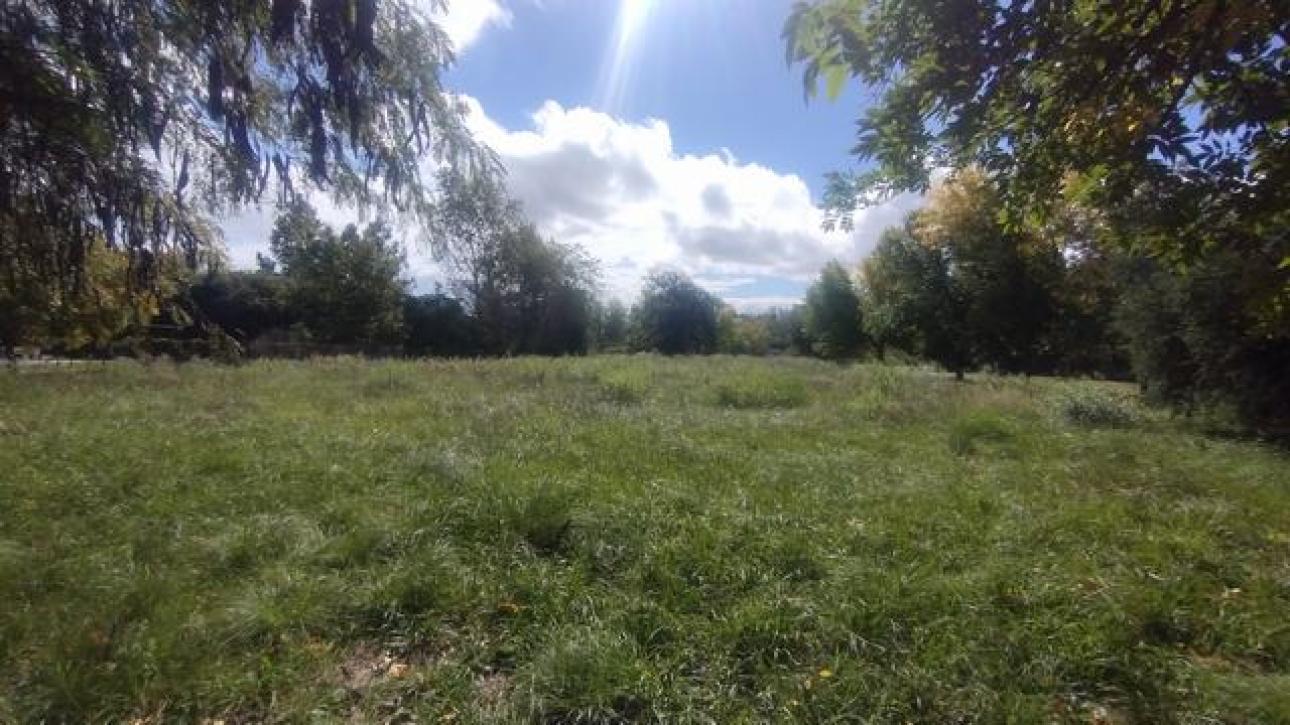 GRAN LOTE EN BARRIO LA QUEBRADA