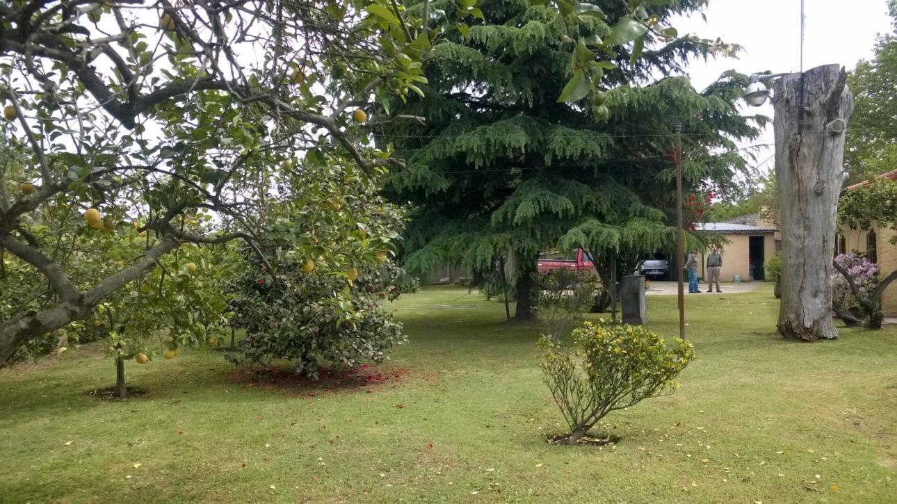 Excelente casa quinta sobre importante avenida