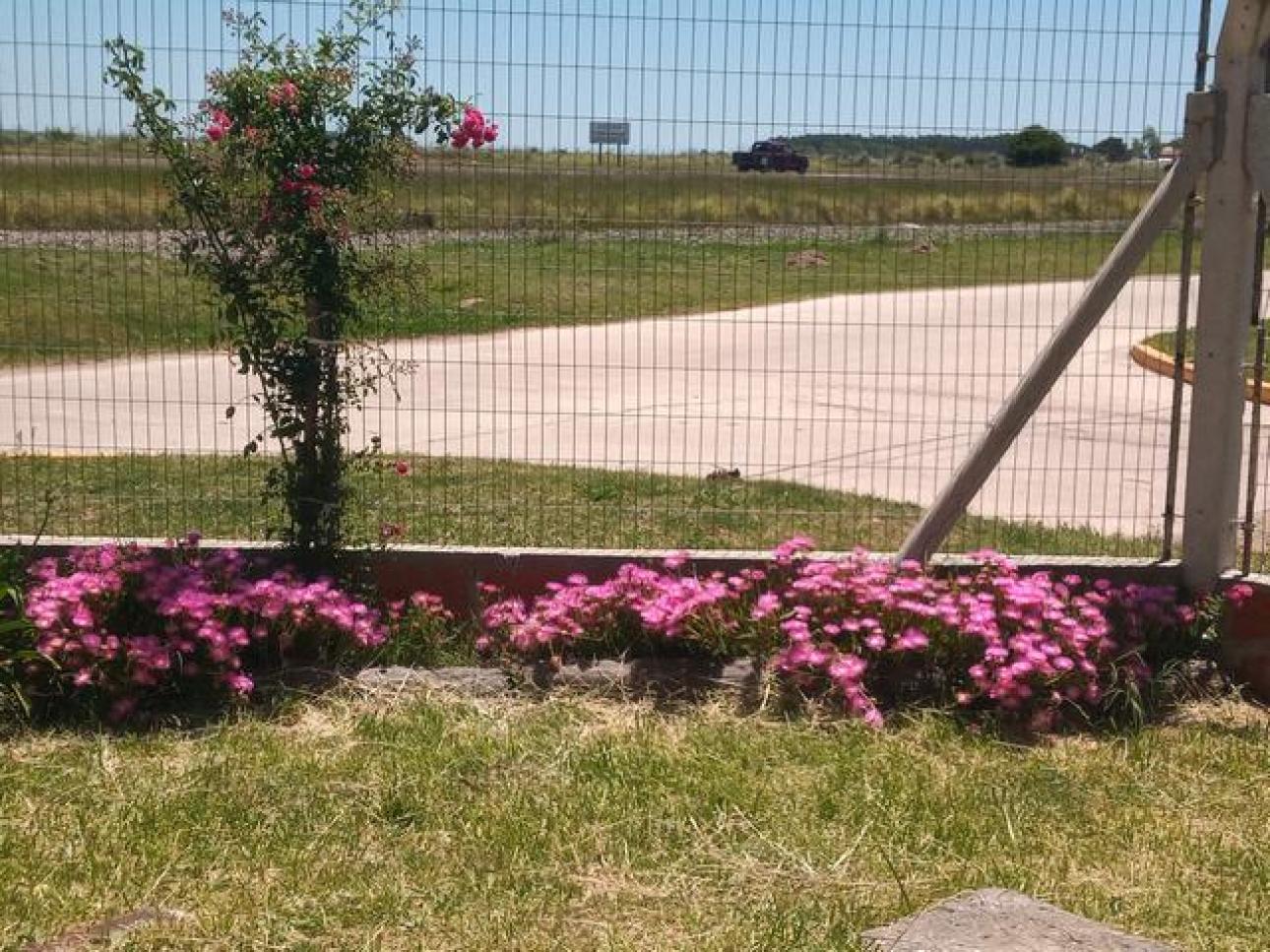 Casa sobre colectora ruta 11 en lote de 11 x 30