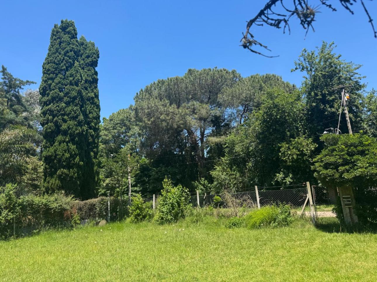 Lote con pileta, parque y arbolado