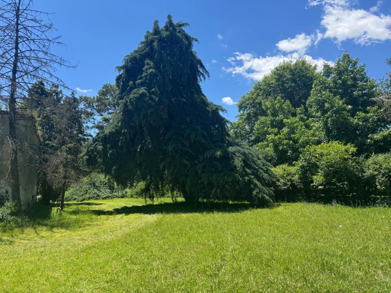 Lote con pileta, parque y arbolado