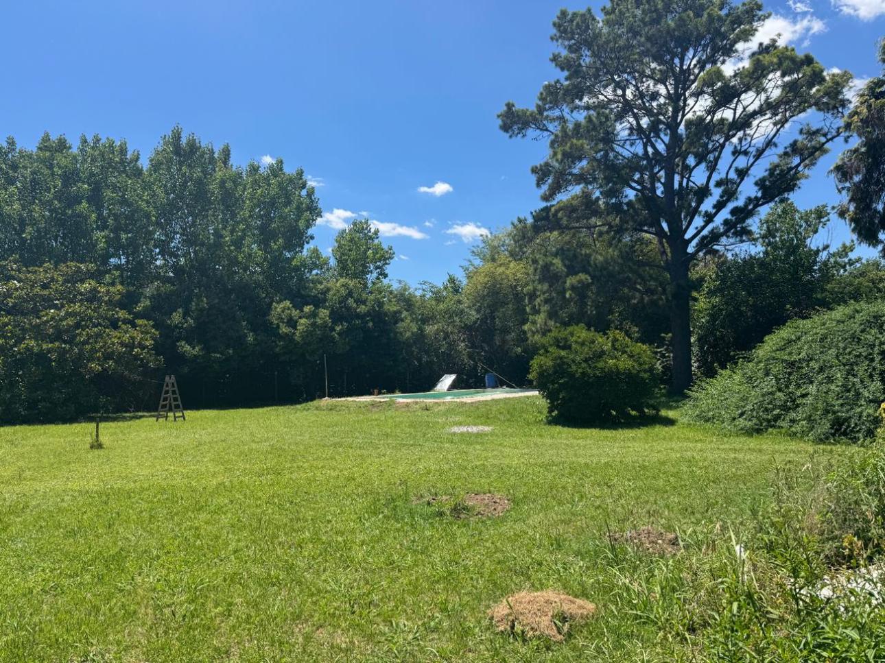 Lote con pileta, parque y arbolado
