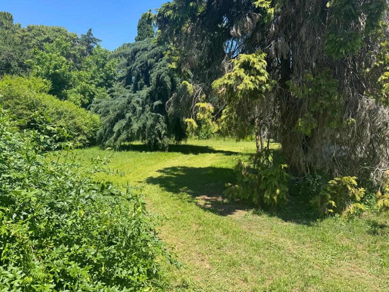 Lote con pileta, parque y arbolado