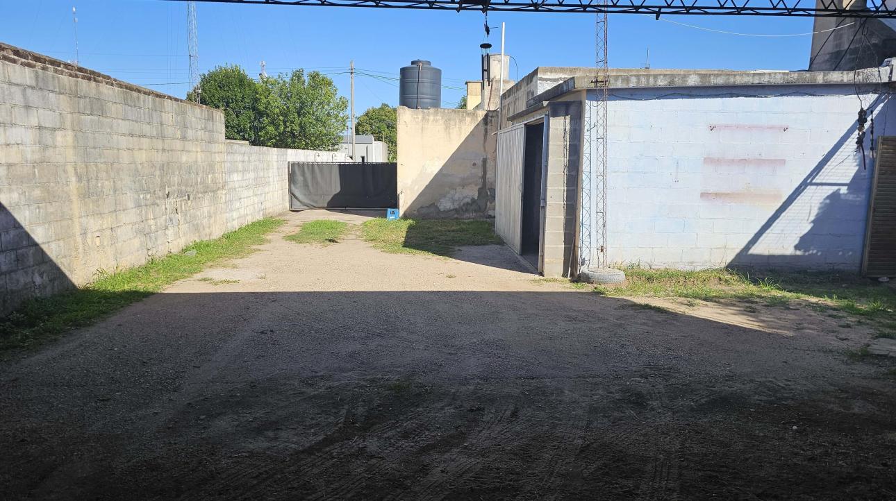bg