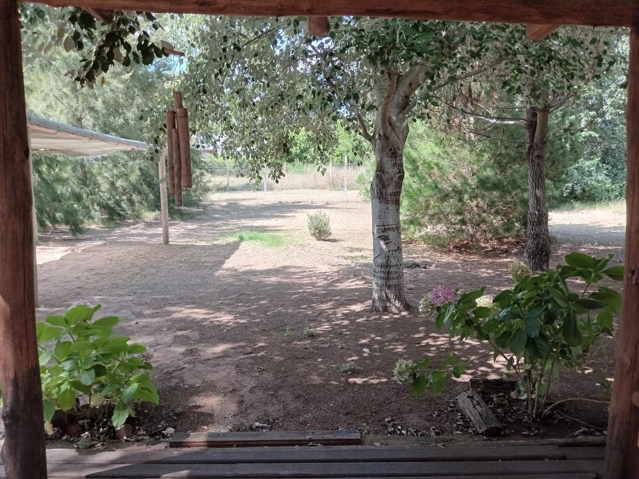 Hermosa cabaña de madera sobre lote arbolado