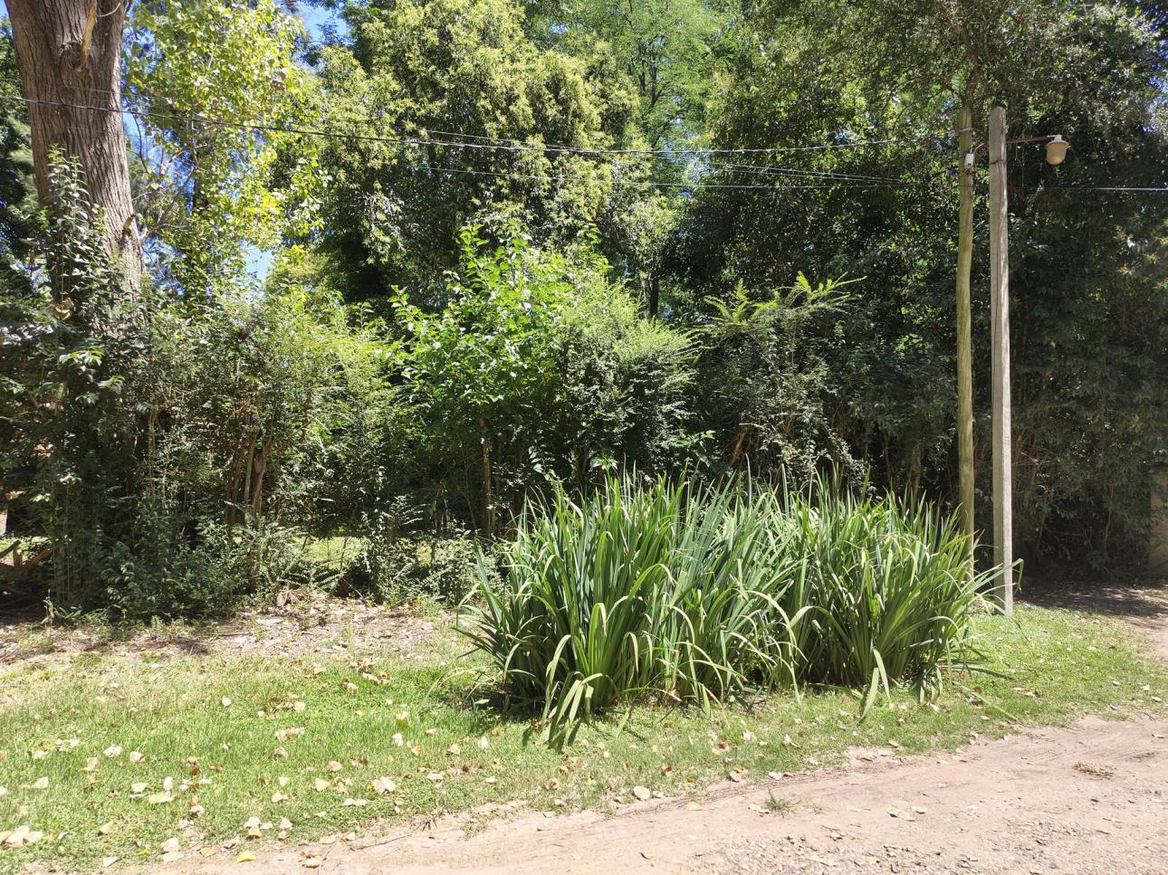Lote muy arbolado en Loma Verde