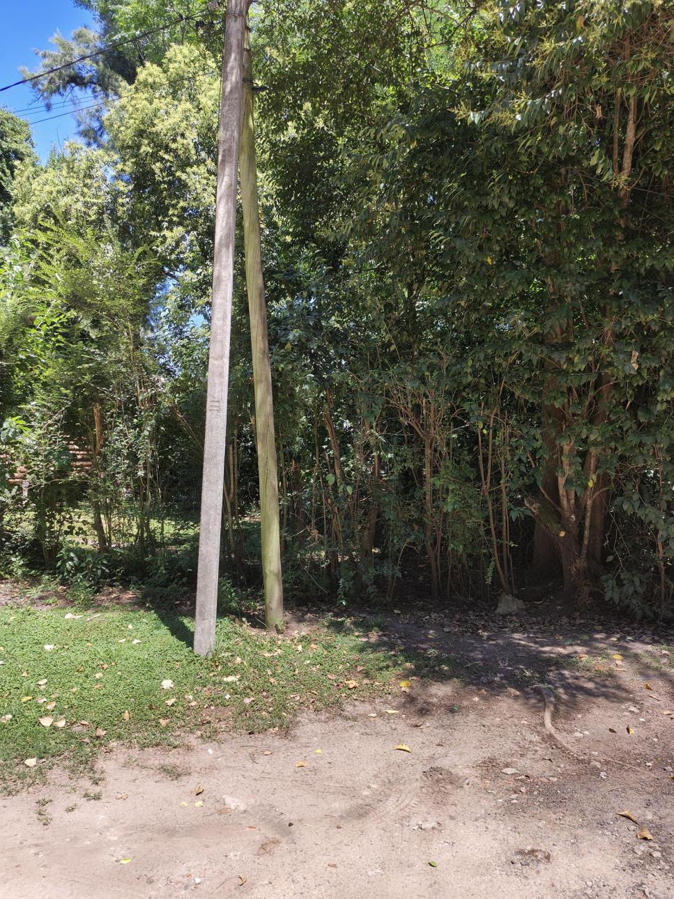 Lote muy arbolado en Loma Verde