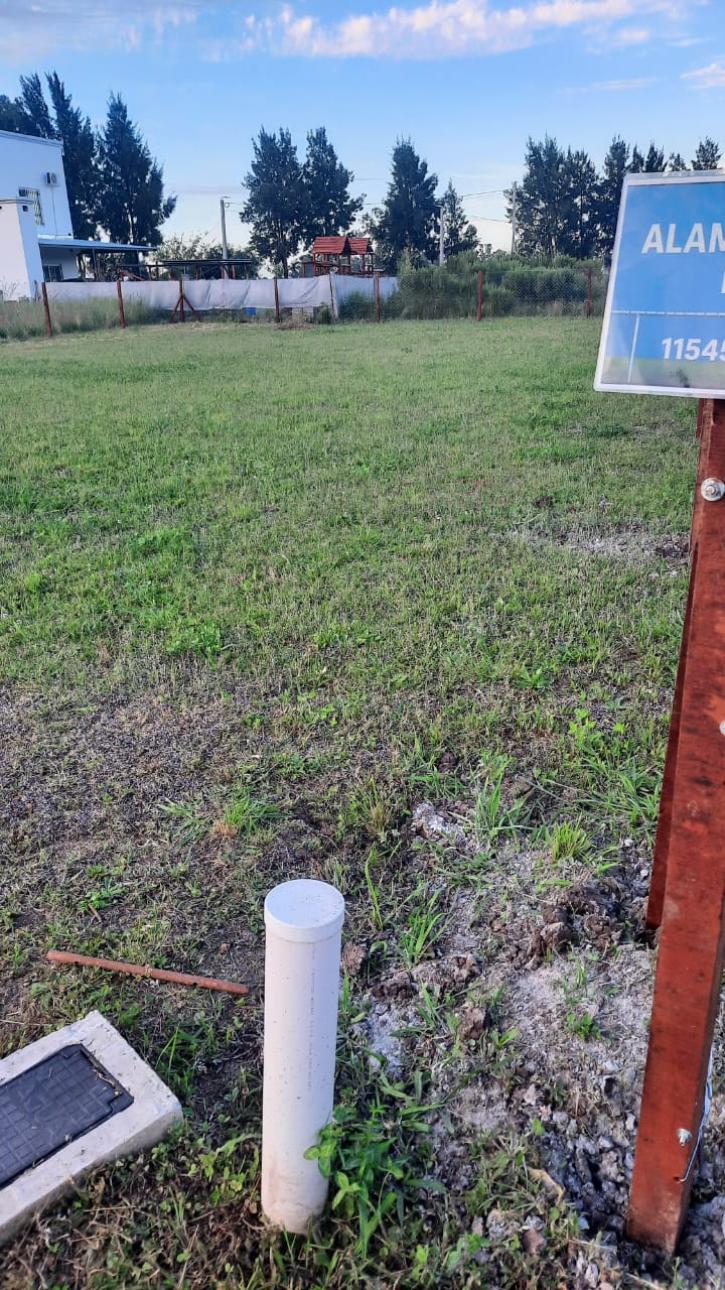 Lote cercado y mantenido cerca de ruta 6