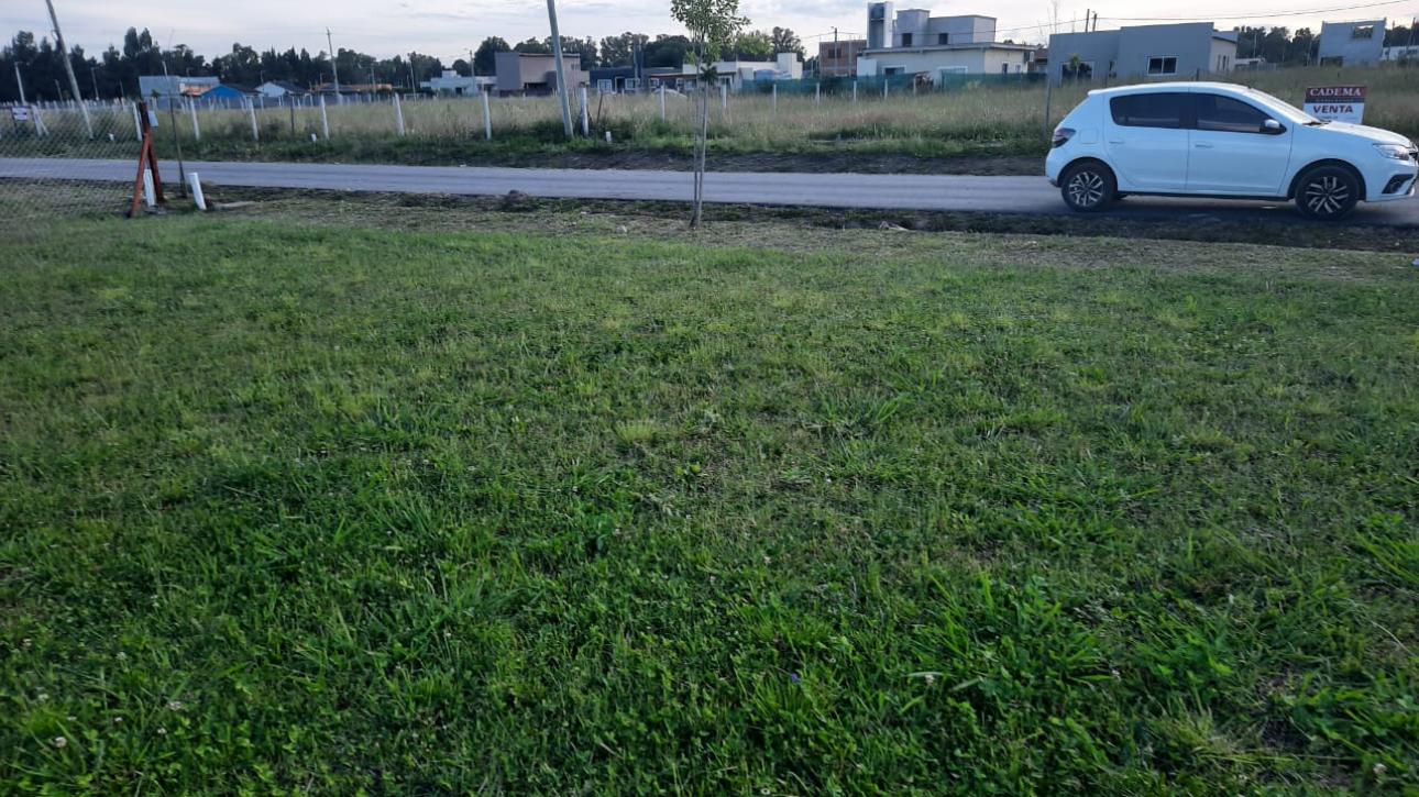 Lote cercado y mantenido cerca de ruta 6