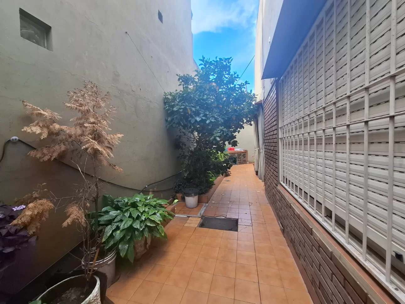 PH 3 AMBIENTES CON PATIO Y TERRAZA