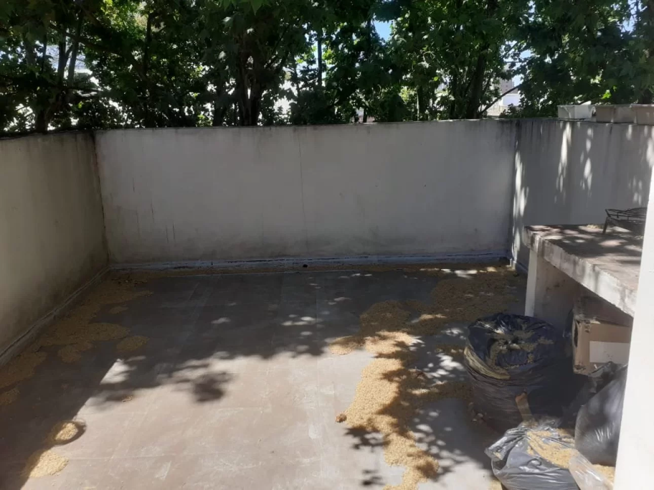 ROSARIO,B/AGOTE, FAD/MEDICINA, MB UBICACION,BALCON,C/PARRILL