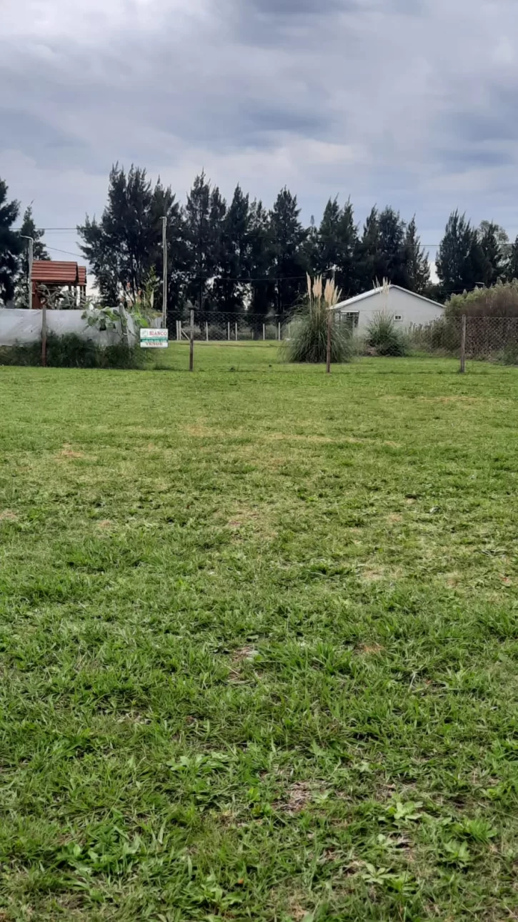 Lote cercado y mantenido cerca de ruta 6