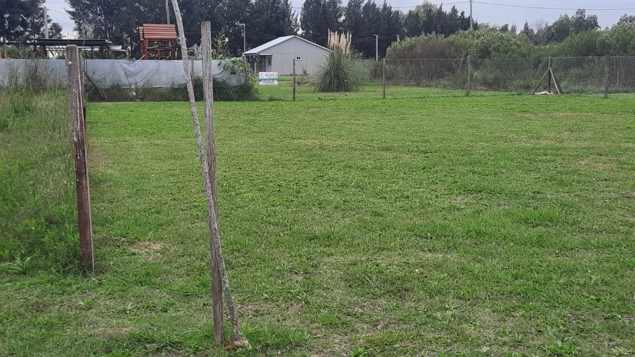 Lote cercado y mantenido cerca de ruta 6