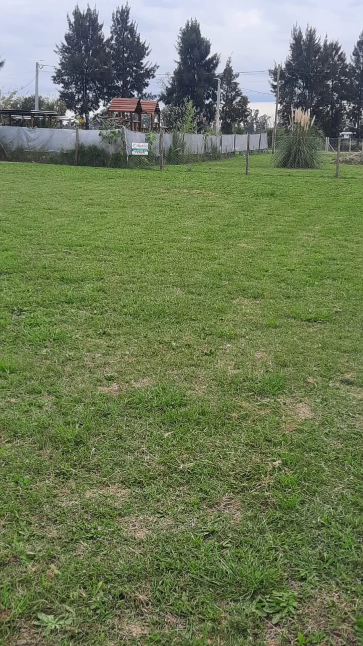 Lote cercado y mantenido cerca de ruta 6