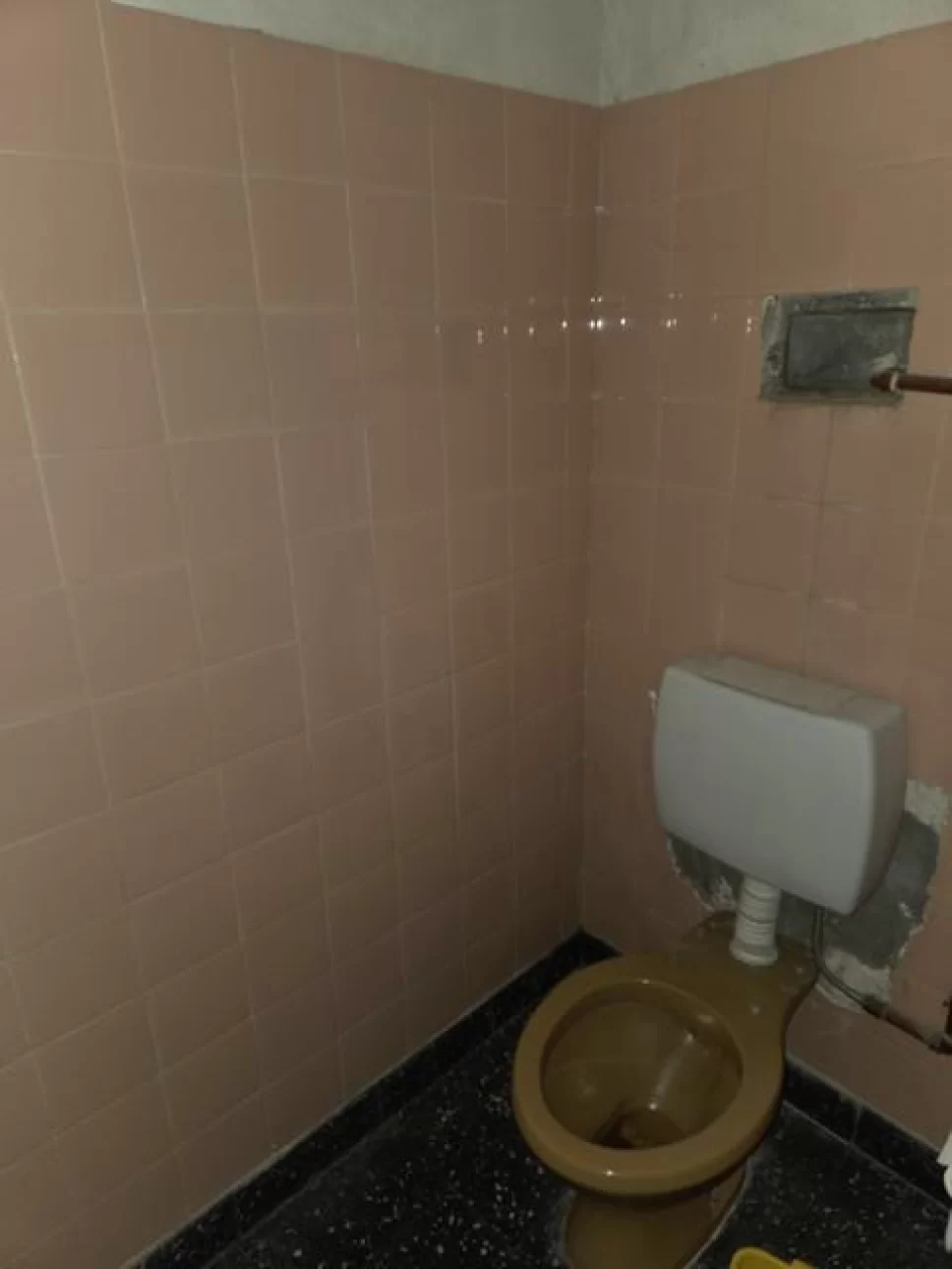 GALPON 170M2 + ENTREPISO VILLA BOSCH