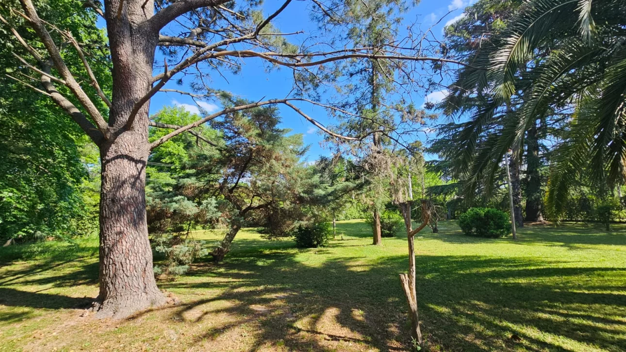 Casaquinta con hermoso parque