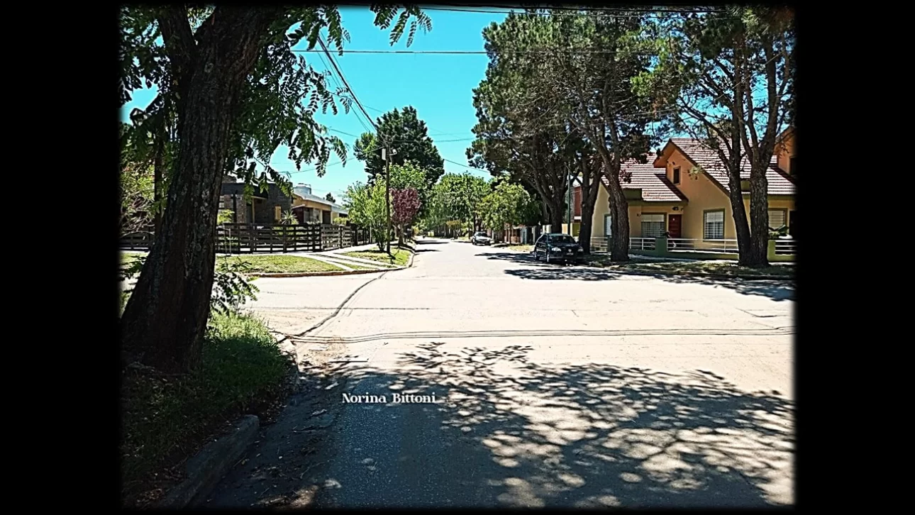 Ricardo Fernandez Asesoria Inmobiliaria, Venta de Chalet en    Mar de Ajó Foto2 