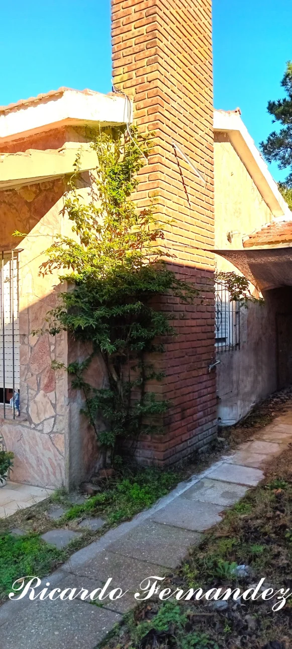 CASA SOBRE LOTE PROPIO, foto 14 de 40
